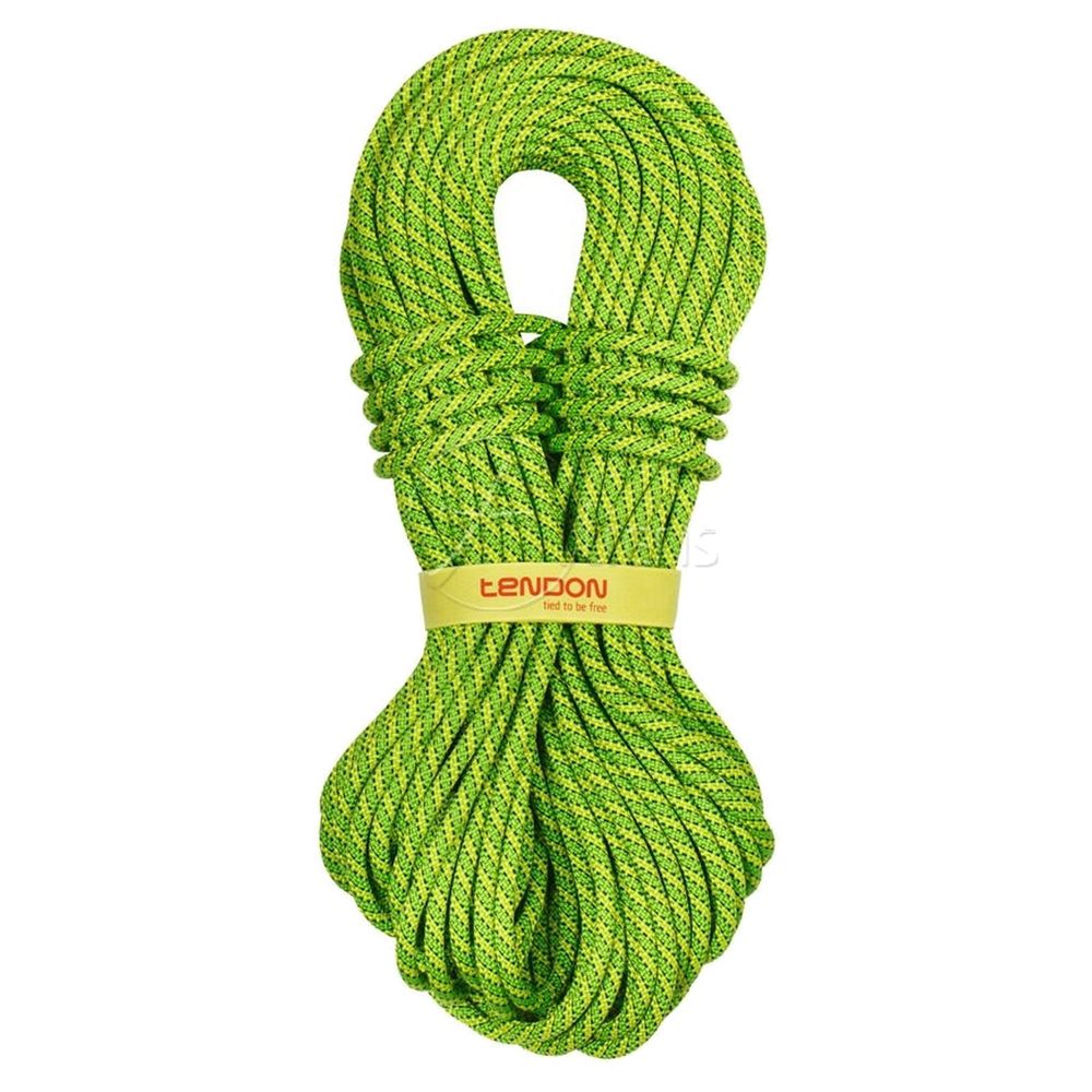 Tendon Ambition 9,8 Standard - Einfachseil