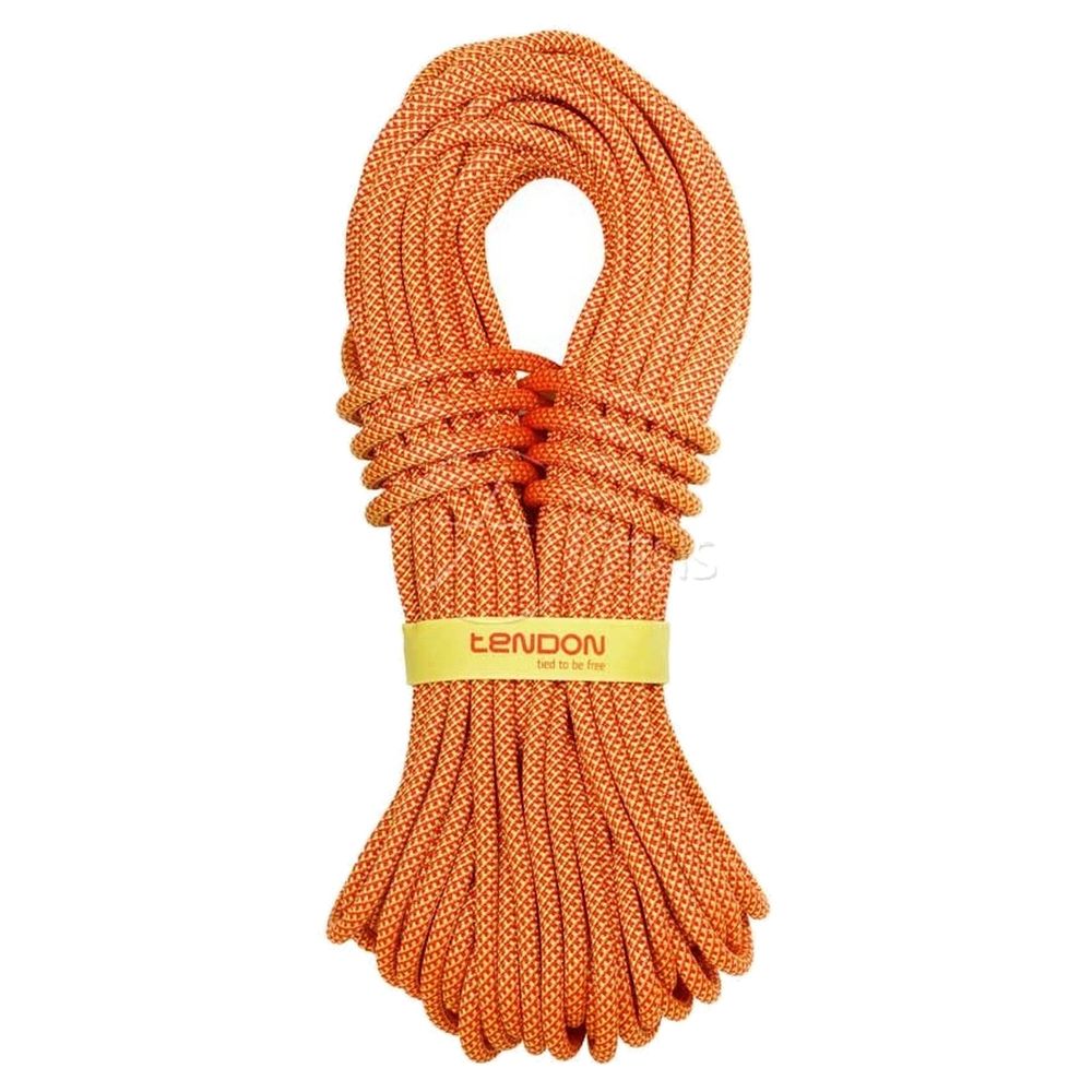 Tendon Indoor 10,2 Standard - Einfachseil