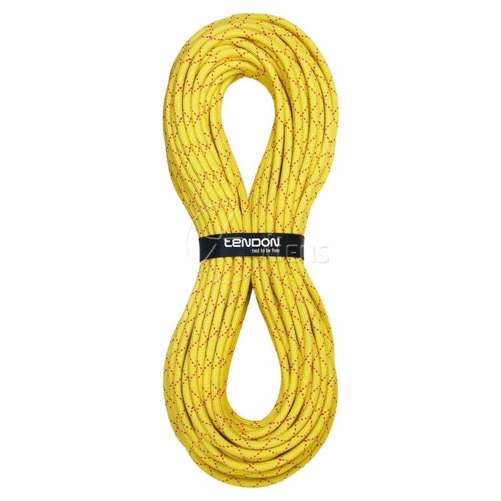 Tendon Salamander 10,2 - Statikseil