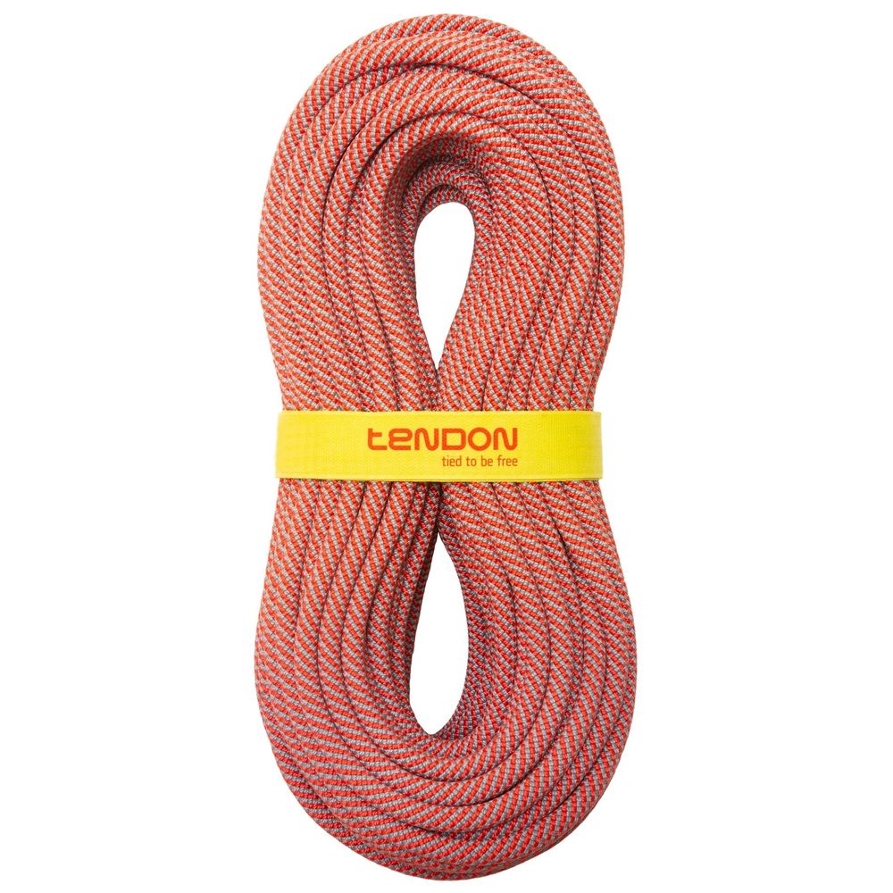Tendon Smart Lite 9,8 Standard - Einfachseil