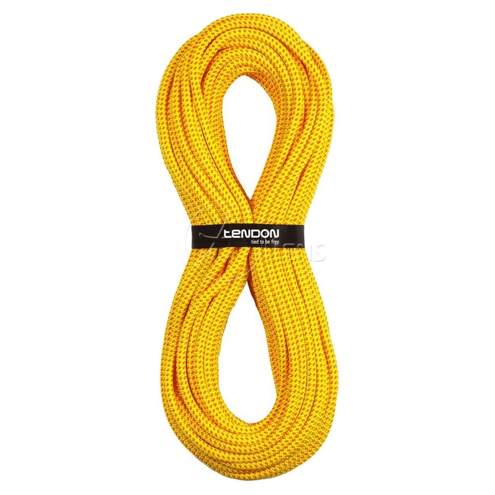 Tendon Timber Evo 11,0 - Statikseil