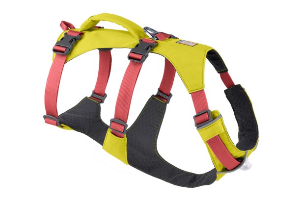 Flagline Hundegeschirr (Größe XXS (33-43cm) gruen)