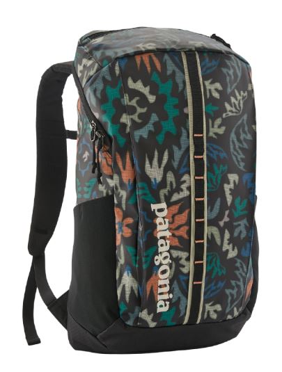 Patagonia Black Hole® Pack 25L - Rucksack