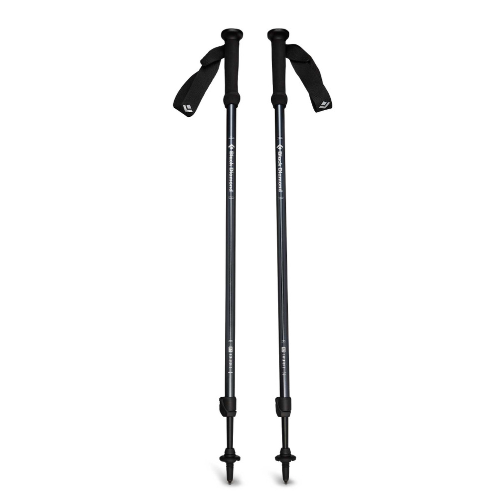 Black Diamond Explorer 2 - Tourenstock (Paar)