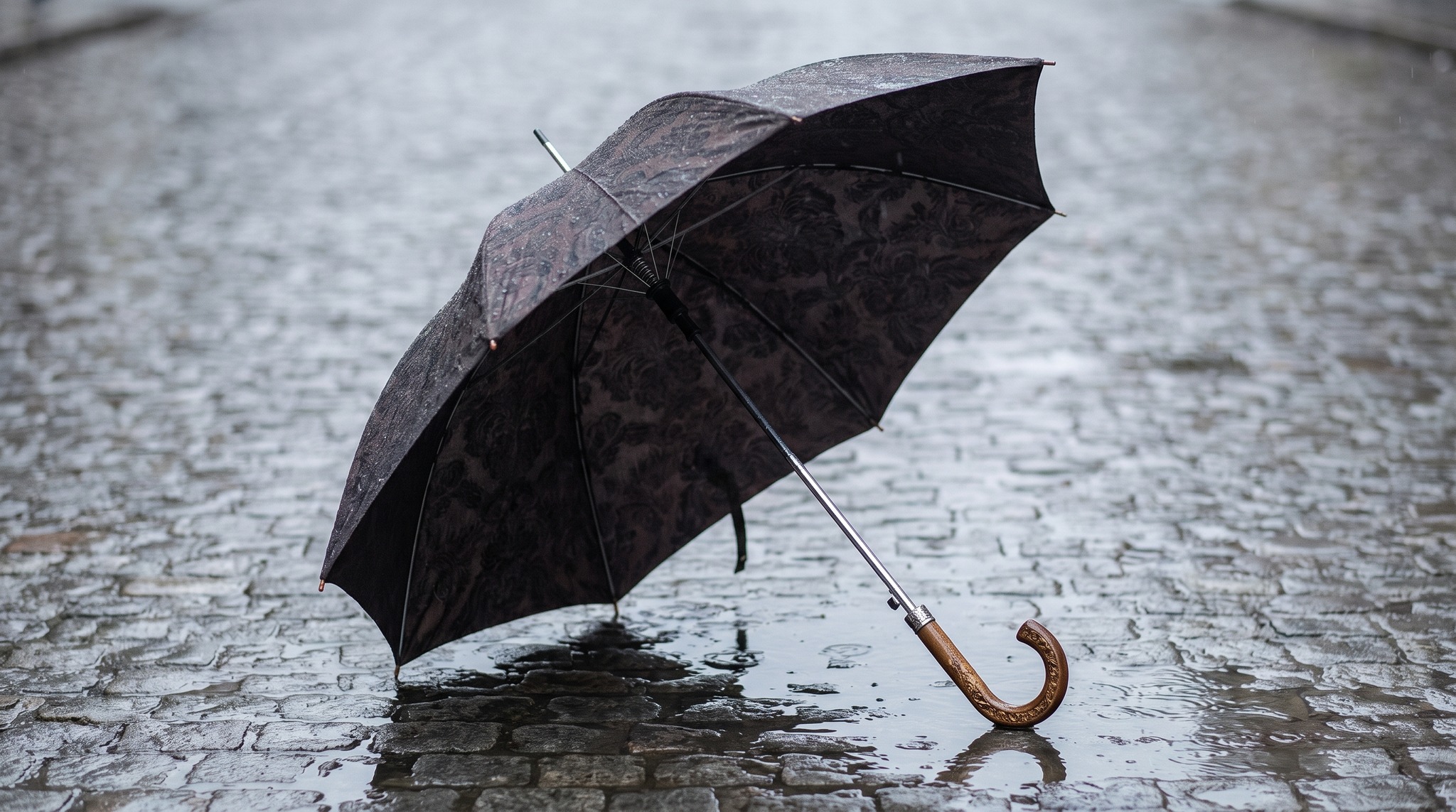 Jean Paul Gaultier: Folding Umbrellas with Patterns for Style-Conscious Customers