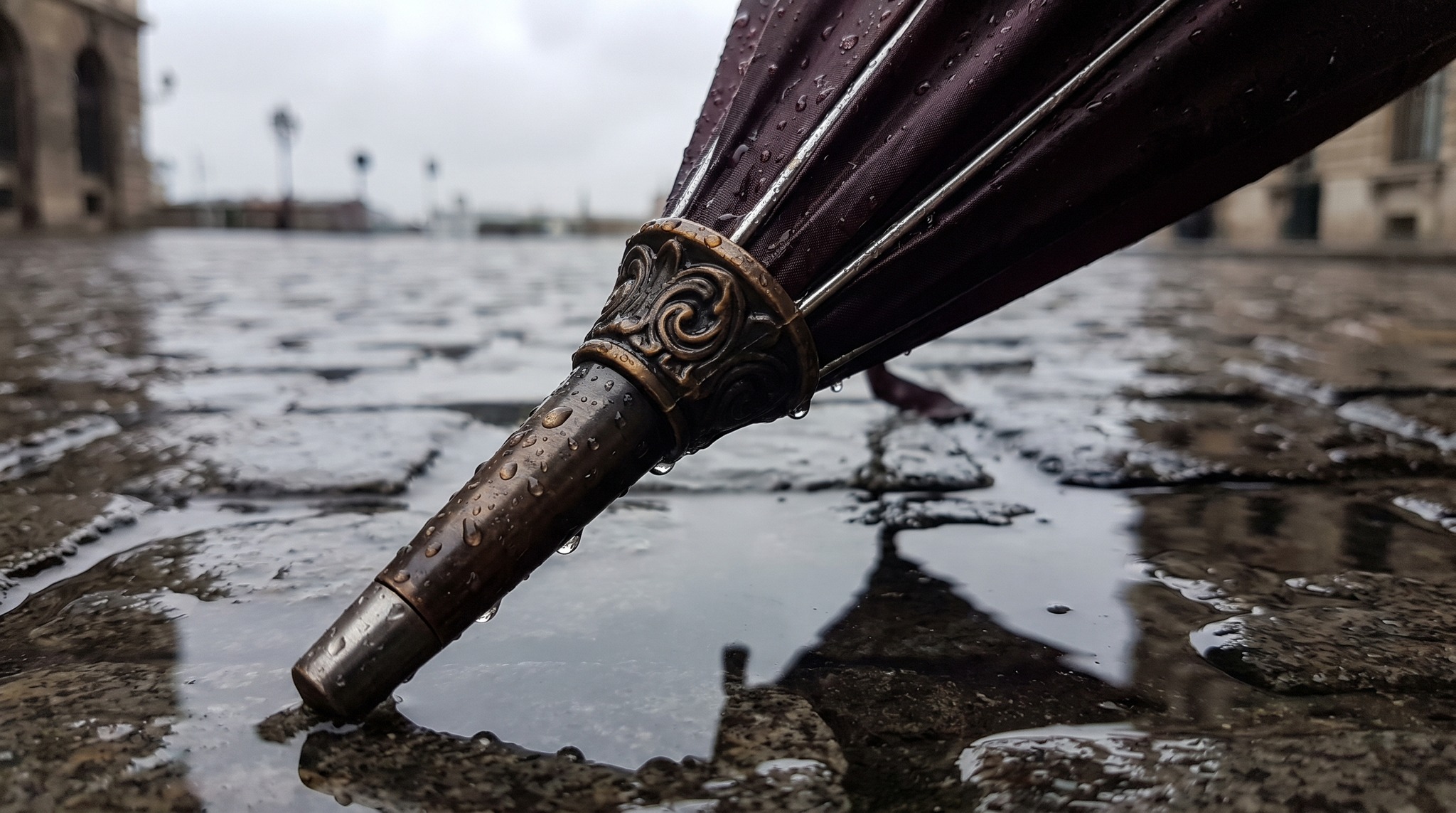 Ferrule and Crown: Details That Reveal Quality