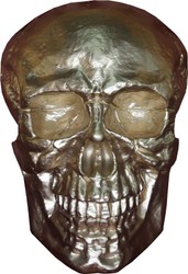 Casa Padrino Escultura cráneo cráneo oro B. 30 cm H. 43 cm - deco figurine