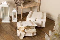 Casa Padrino ensemble de 2 coffres en bois de style country blanc - Salon Déco Casa Padrino ensemble de 2 coffres en bois de style country blanc - Salon Déco
