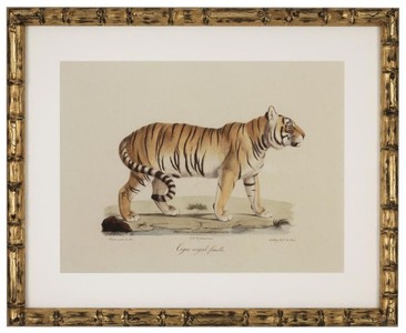 Casa Padrino Deko Bilder Set Löwen Tiger Jaguare Antik Gold 54 x H. 44 cm - Luxus Wanddekoration