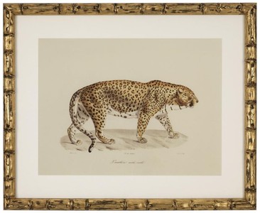 Casa Padrino Deko Bilder Set Löwen Tiger Jaguare Antik Gold 54 x H. 44 cm - Luxus Wanddekoration