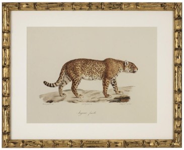 Casa Padrino Deko Bilder Set Löwen Tiger Jaguare Antik Gold 54 x H. 44 cm - Luxus Wanddekoration
