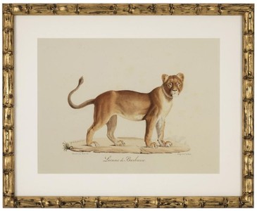 Casa Padrino Deko Bilder Set Löwen Tiger Jaguare Antik Gold 54 x H. 44 cm - Luxus Wanddekoration