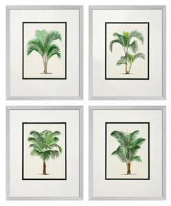 Casa Padrino immagini / stampa artistica set di 4 palme multicolore 43 x H. 53 cm - Decorazione di Lusso