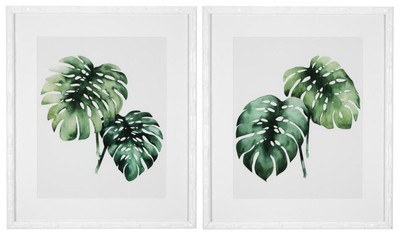 Casa Padrino immagini / stampa artistica set piante tropicali verde / bianco 59 x H. 69 cm - Decorazione di Lusso