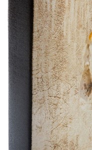 Casa Padrino Barock Ölgemälde Kronleuchter Mehrfarbig 80 x H. 80 cm - Prachtvolles Ölbild 