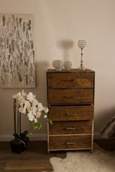 Casa Padrino commode luxe à 5 tiroirs brun / argent 60 x 40 x H. 110 cm - Mobilier de Luxe