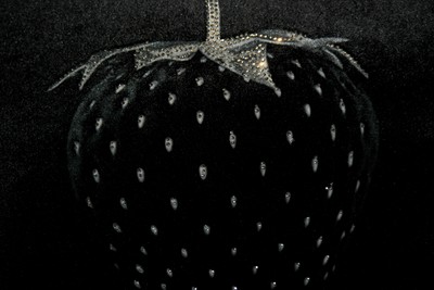 Casa Padrino Luxus Deko Kissen Strawberry mit Bling Bling Glitzersteinen Schwarz / Silber 45 x 45 cm - Feinster Samtstoff - Luxus Deko Accessoires