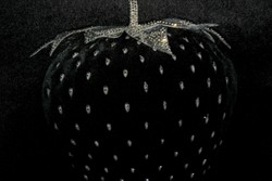 Casa Padrino Cuscino Decorativo di Lusso con Pietre Scintillanti Bling Bling Nero / Argento 45 x 45 cm - Tessuto in Velluto Finissimo - Accessori di Decorazione di Lusso Casa Padrino Cuscino Decorativo di Lusso con Pietre Scintillanti Bling Bling Nero / Argento 45 x 45 cm - Tessuto in Velluto Finissimo - Accessori di Decorazione di Lusso