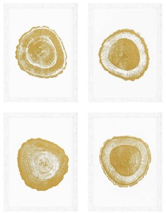 Casa Padrino conjunto de imágenes de lujo rodajas de árboles anillos anuales blanco / oro 61.5 x A. 82 cm - Impresiones Artísticas - Imágenes de Pared - Decoraciones de Pared - Accesorios Decorativos