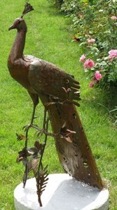 Casa Padrino sculpture de décoration de jardin paon rouille 50 x 75 x H. 118 cm - Élégante figure de décoration de jardin - Figurine de jardin résistante aux intempéries