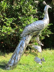 Casa Padrino garden decoration sculpture peacock silver 50 x 75 x H. 118 cm - Elegant stainless steel garden decoration figure - Weatherproof garden figure