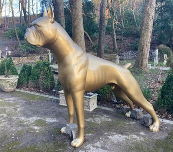 Riesige XXL Boxer Skulptur Gold 190 x H. 173 cm - Wetterbeständige Deko Gartenskulptur - Gartendeko Tierfigur Hunde Skulptur Hund
