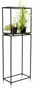 Casa Padrino estantería de flores de lujo negro / latón 50 x 30 x A. 150 cm - Estantería de plantas moderna de metal - Muebles de Salón