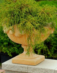Casa Padrino Baroque Flower Pot Beige Ø 46 x H. 33 cm - Round Plant Pot in Baroque Style - Baroque Garden & Terrace Decoration