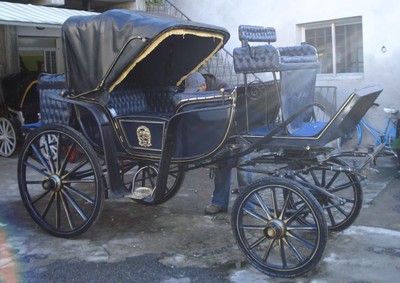 Casa Padrino baroque horse drawn carriage blue / gold - Magnificent carriage in baroque style - Noble & Magnificent