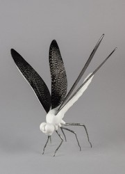 Luxus Deko Porzellan Skultur Figur Libellle Matt Weiß Schwarz Luxury Deco Porcelain Sculpture Figure Dragon Fly Matt White Black