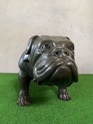 Casa Padrino escultura de decoración de bronce de lujo perro bulldog 81 x 43 x A. 38 cm - Figura de decoración de bronce - Accesorios de decoración de lujo