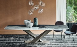 Luxus Esstisch mit Keramik Tischplatte Mehrfarbig Titan Luxury Dining Table with Ceramic Top Multicolored Titanium