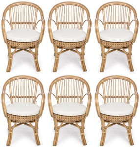 Luxus Rattan Gartenstuhl 6er Set mit Armlehnen Naturfarben Weiß Luxury Rattan Garden Chair Set of 6 with Armrests Natural White
