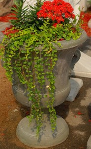 Casa Padrino vaso di fiori decorativo da giardino barocco grigio antico Ø 54 x A. 77 cm - Magnifico vaso per piante in stile barocco - Accessori per la decorazione di giardini e terrazze barocchi