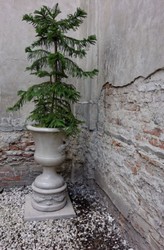 Casa Padrino pot de fleurs décoratif de jardin baroque gris Ø 54 x H. 77 cm - Magnifique cache pot de style baroque - Accessoires de décoration jardin & terrasse baroque