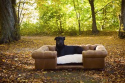 Casa Padrino letto per cani Chesterfield di lusso in pelle marrone vintage / marrone scuro / bianco / nero 134 x 104 x A. 37 cm - Letto per cani in vera pelle - Mobili per Animali di Lusso in Pelle