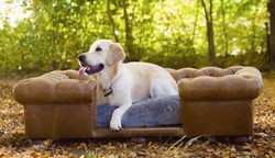 Casa Padrino letto per cani Chesterfield di lusso in pelle marrone vintage / marrone scuro / grigio 134 x 104 x A. 37 cm - Letto per cani in vera pelle - Mobili per Animali di Lusso in Pelle