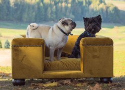 Casa Padrino luxury dog bed ocher / dark brown / ocher 95 x 75 x H. 37 cm - Modern Rectangular Dog Bed with Cushion - Luxury Dog Furniture - Luxury Pet Furniture