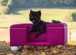 Casa Padrino letto per cani di lusso viola / bianco / viola 80 x 65 x A. 37 cm - Letto per cani rettangolare moderna con cuscino - Mobili per cani di lusso - Mobili per animali