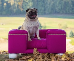 Luxus Hundebett Lila Weiß Luxury Chesterfield Dog Bed Purple White