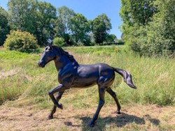Casa Padrino escultura decorativa de bronce de lujo caballo 188 x 64 x A. 157 cm - Enorme escultura de bronce - Figura animal tamaño natural - Figura de bronce XXL - Escultura de jardín XXL