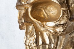 Casa Padrino escultura de decoración de pared de metal de diseño calavera oro 30 x 20 x A. 40 cm - Figura de decoración de pared de metal - Decoración de salón - Decoración de oficina