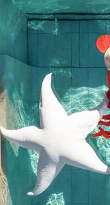 Schwimmender Outdoor Garten Terrassen Pool Sitzsack Seestern Cremeweiß Floating Outdoor Garden Patio Pool Beanbag Starfish Cream White
