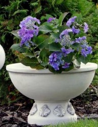 Runder Barock Garten Terrassen Deko Blumentopf Pflanzentopf Grau Round Baroque Garden Terrace Decorative Flower Pot Plant Pot Gray