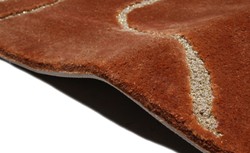 Tapis rectangulaire de luxe de salon de chambre crème marron