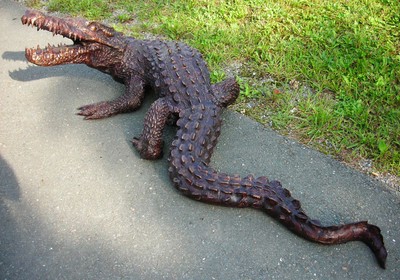 Casa Padrino Sculpture Décorative XXL en Bronze Crocodile 170 x 80 x H. 60 cm - Figure Animalière Grandeur Nature - Sculpture de Jardin
