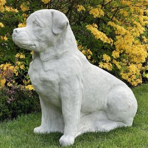 Casa Padrino scultura decorativa da giardino cane golden retriever grigio 55 x 32 x A. 77 cm - Figura decorativa in pietra da giardino - Figura decorativa di animale - Accessori da giardino