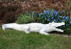 Casa Padrino scultura decorativa da giardino coccodrillo bianco 68 x 18 x A. 13 cm - Figura da giardino