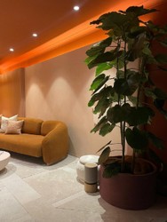 Luxus Wohnzimmer Hotel Sofa Braun Naturfarben