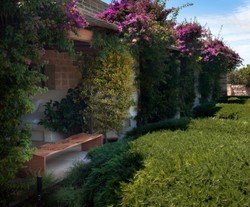 Casa Padrino Banc de Jardin de Luxe Naturel / Marron 200 cm - Fabriqué en Italie